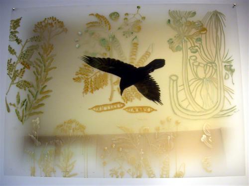 16.jpg - Museum Flight: Dark Bird. 
oil on Mylar 