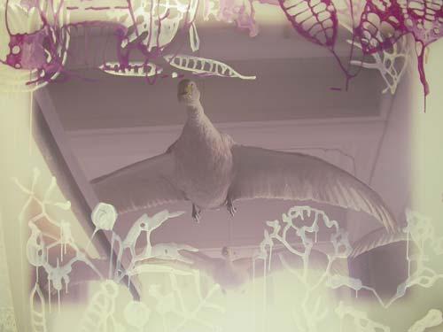23.jpg - No Place (swans in hallway) 
Oil on inkjet on mylar surface. 115cm x 92cm