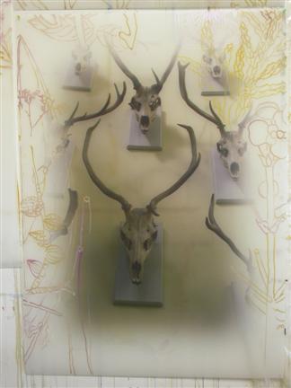 34.jpg - 100s of Reindeer and One Elephant