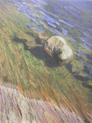 studio-2010-004.jpg - Painted Landscapes, 2010 
oil on Mylar