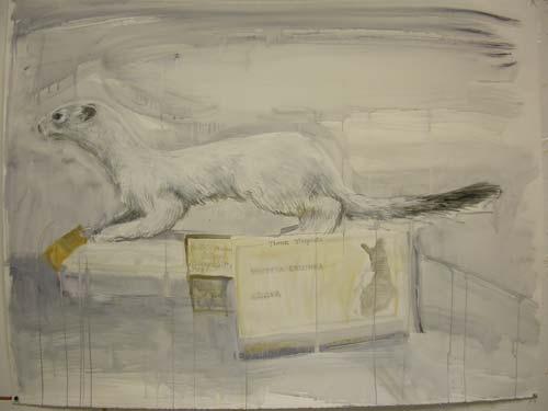 display-ermine.jpg - Display Ermine 
Mixed media on paper. 127x 96 cm