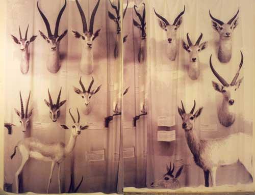 curtain-calls-dye-on-fabric.jpg - Curtain Calls 
Dye on Fabric