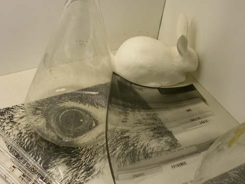 sights-of-science-010-copy.jpg - Sights of Science