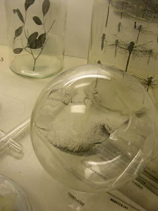 sights-of-science-016-copy.jpg - Sights of Science