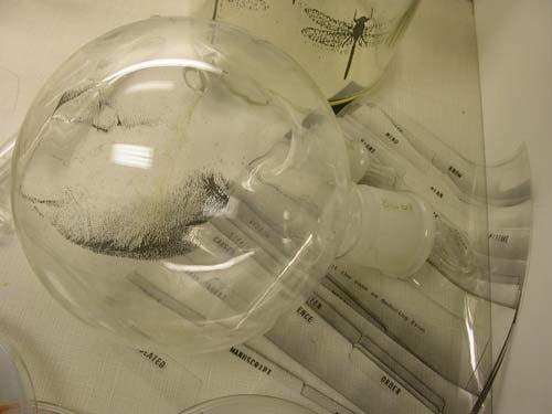 sights-of-science-017-copy.jpg - Sights of Science