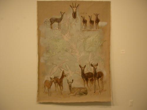 case-of-mutjac-installation-view.jpg - Case of Muntjac Installation View