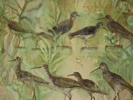 display-of-shore-birds-(detail)-oil-on-linen-2005.jpg - Display of Shore Birds (detail) 
Oil on Linen 2005